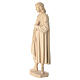 Saint Cosmas in natural Valgardena wood, old antique gold s3