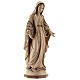 Our Lady of Graces in wood of Valgardena burnished in 3 colours s4