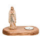 The Virgin of Lourdes with votive candle s1