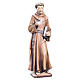 Saint Francis with bird and book in painted wood, Val Gardena s2