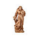 Saint Francis statue burnished in 3 colours realistic style s2