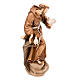 Saint François d'Assise avec colombes, statue bois s4