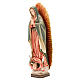Nostra Signora di Guadalupe s5