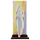 Statue Vierge à l'Enfant fond plexiglas coloré 13 cm s1