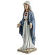 Statue of the Immaculate Heart of Mary, Navel porcelain, 12 in s3
