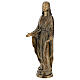 Statue of Mother Mary of Miracles in bronze 85 cm for EXTERNAL USE s3