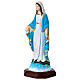 Miraculous Mary statue in painted resin, 20 cm s4