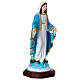 Miraculous Mary statue in painted resin, 20 cm s5