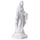 Madonna Miracolosa statua resina bianca e oro 20 cm s5
