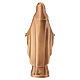 Immaculate Virgin statue for ground installation, bronze finish s5