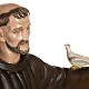 San Francesco con colombe fiberglass 100 cm s8