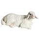 Zwei Schafe für Krippe 60 cm s5