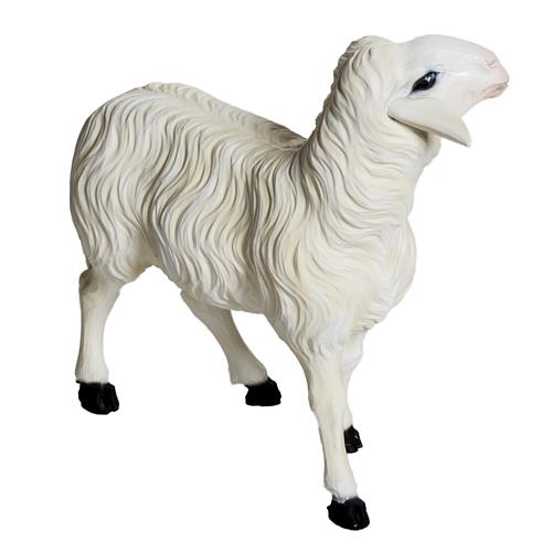 Sheep for a 60cm Nativity 2