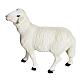 Duas ovelhas para presépio com figuras de altura média 60 cm fibra de vidro s4