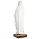 Our Lady of Lourdes statue in fiberglass, 60 cm s6