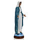 Immaculate Virgin Mary statue in fiberglass, crystal eyes, 60cm FOR OUTDOOR s5