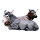 Ox and donkey, statues in painted fiberglass, 100cm s1