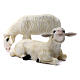 Zwei Schafen für Heilige Familie 80cm Fiberglas handgemalt s1