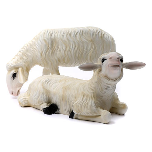 2 ovejas para Belén de altura media 80 cm de fibra de vidrio pintada. 1