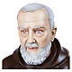 Statue Père Pio fibre de verre 110 cm POUR EXTÉRIEUR s2