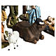 Complete Nativity Scene in fibreglass 15 statues 60 cm for EXTERNAL USE s4