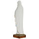 Statue of Our Lady of Lourdes in fibreglass 100 cm for EXTERNAL USE s7