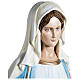 Statue of the Immaculate Virgin Mary in fibreglass 100 cm for EXTERNAL USE s4