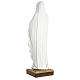 Statue of Our Lady of Lourdes in fibreglass 60 cm for EXTERNAL USE s6