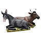 Ox and Donkey Nativity Statues, 80 cm in painted fiberglass FOR OUTDOORS s1