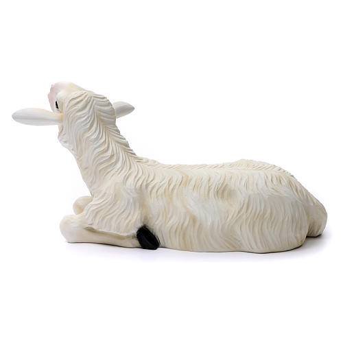 2 Sheep for Nativity Scene 80cm in painted fiberglass for EXTERNAL USE 4