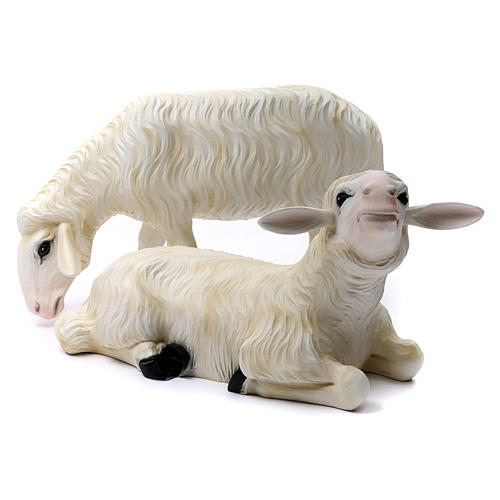 Duas ovelhas para Presépio com figuras de altura média 80 cm fibra de vidro pintada PARA EXTERIOR 1