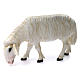 Duas ovelhas para Presépio com figuras de altura média 80 cm fibra de vidro pintada PARA EXTERIOR s3