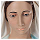 Virgen Milagrosa 180 cm fibra de vidrio pintada ojos vidrio s4