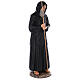 St Francis of Paola statue 115 cm, in colored fiberglass glass eyes s5