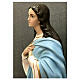 Statua Madonna Assunta Murillo angioletti 155 cm vetroresina dipinta s9