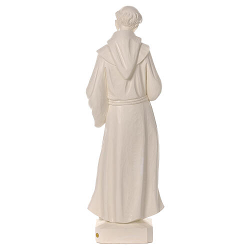 St Francis statue in fiberglass 80x25x20 cm 7