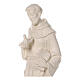 St Francis statue in fiberglass 80x25x20 cm s2