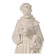 St Francis statue in fiberglass 80x25x20 cm s6