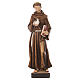 Saint Francis statue colored fiberglass 80x25x20 cm s1