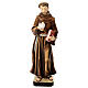 Saint Francis fiberglass statue colored 60x20x15 cm s1