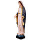 Madonna Immacolata colorata 90x30x20 cm vetroresina s4