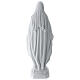 Madonna Miracolosa marmo bianco Carrara 50 cm s5
