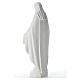 Statua Madonna Miracolosa 62 cm polvere di marmo s3