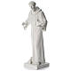 Saint Francis holding doves in synthetic marble 80 cm s3