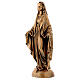 Statua Madonna Miracolosa 40 cm bronzata polvere marmo PER ESTERNO s3