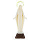 Estatua Virgen Milagrosa fosforescente 14 cm. s1