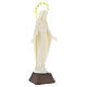 Estatua Virgen Milagrosa fosforescente 14 cm. s3