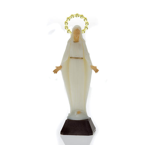 Statua Madonna Miracolosa Fosforescente 14 Cm Vendita Online Su Holyart