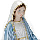 Estatua Virgen Milagrosa yeso nacarado 30 cm. s2