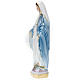 Estatua Virgen Milagrosa yeso nacarado 30 cm. s4